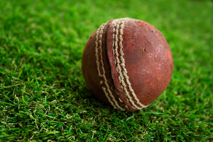 Cricket ball on green pitch grass
